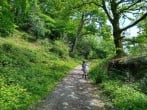 paths paths